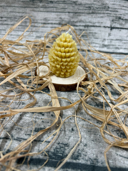 Pine Cone Candles