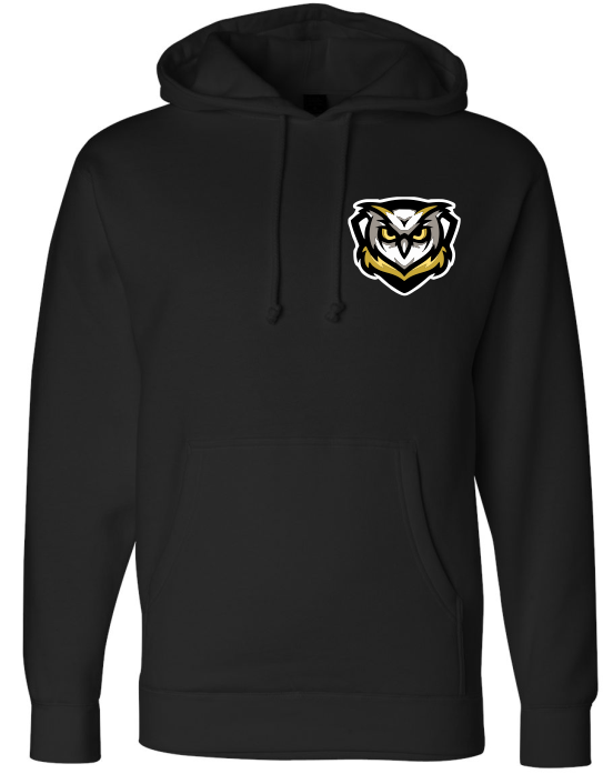 Learning Bridge Logo Hoodie Black or Red