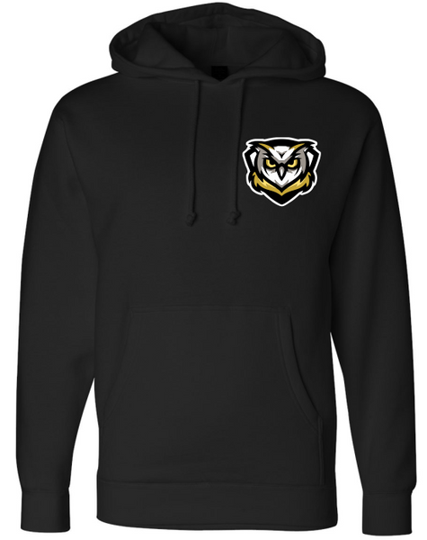 Learning Bridge Logo Hoodie Black or Red
