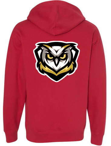 Learning Bridge Logo Hoodie Black or Red Large on Back