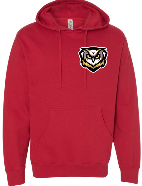 Learning Bridge Logo Hoodie Black or Red