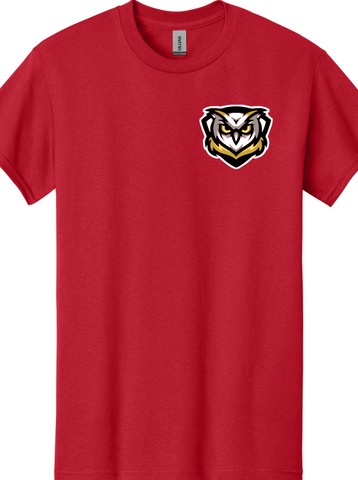 Learning Bridge Logo Shirt Black or Red