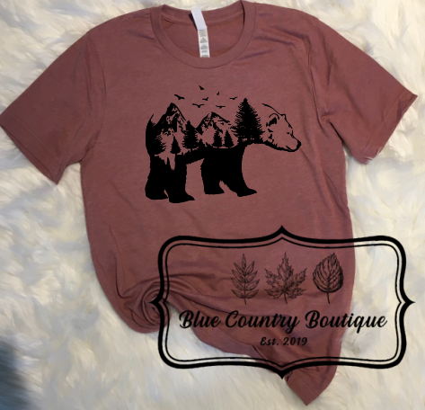 Bear Mountain Scene