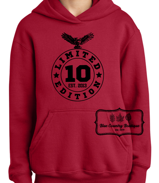 Learning Bridge Limited Edition 10 Year Hoodie